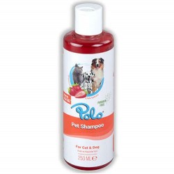Polo 6400 Çilek Kokulu Kedi ve Köpek Sampuanı 250 ml