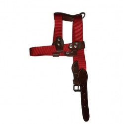 Ayarlanir Kopek Gogus Tasmasi 2.5 cm 10-20 Kg Araligindaki Kopeklere