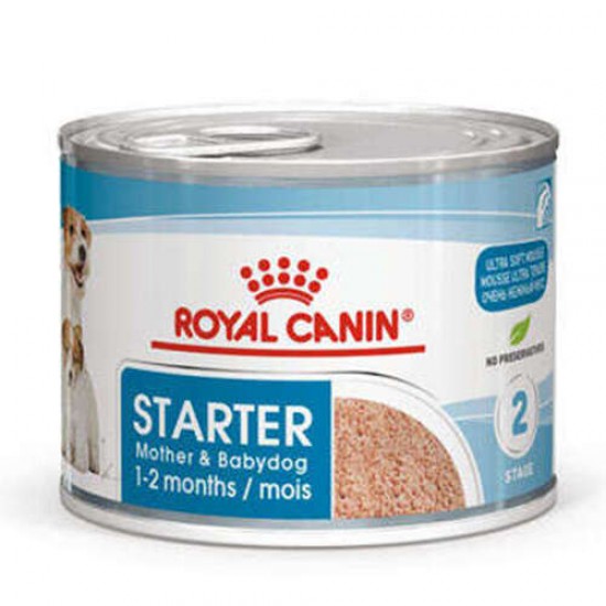 Royal Canin Starter Mousse Anne ve Yavruları İçin Köpek Konservesi 195 Gr Royal Canin Starter Mousse Anne ve Yavruları İçin Köpek Konservesi 195 Gr